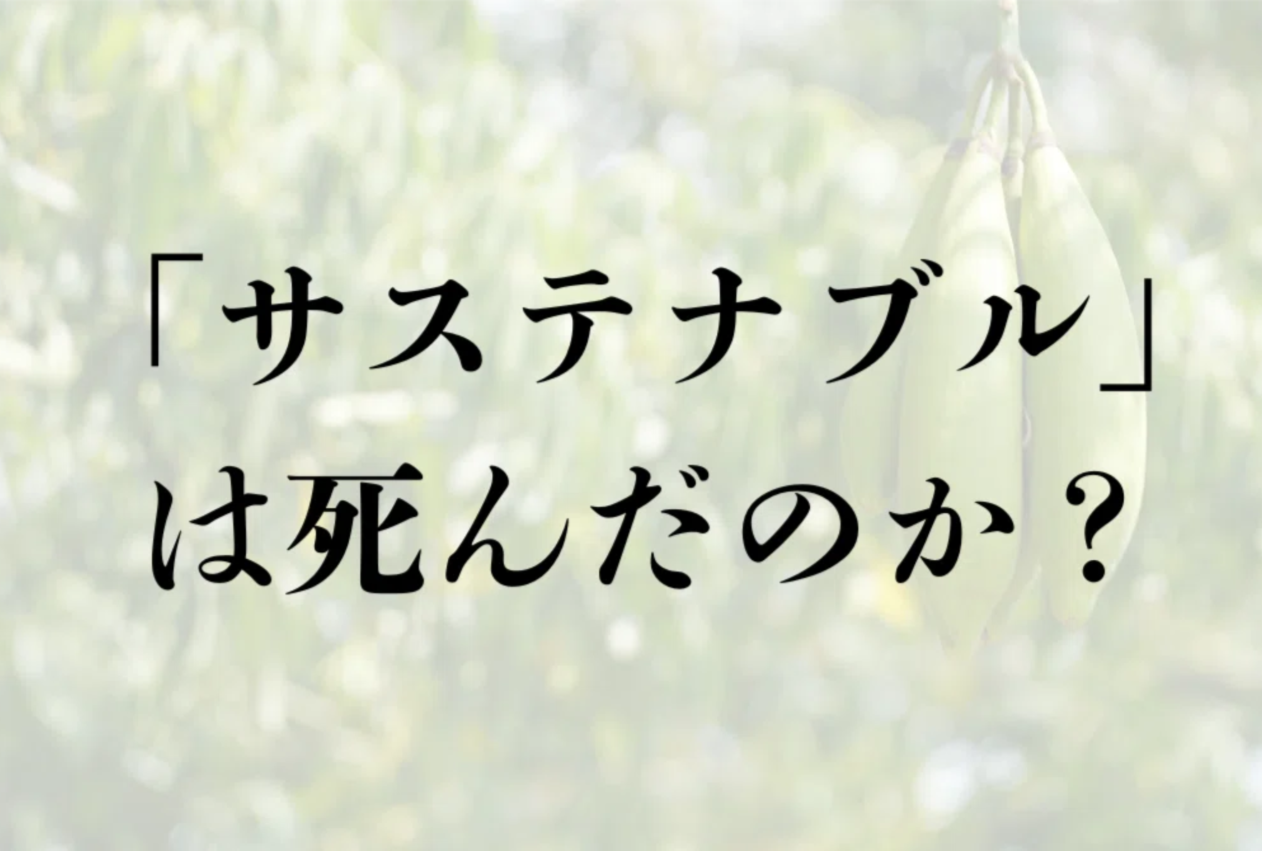 サステナブルは死んだのか?時代を象徴した”スパイバー”と”オールバーズ”から見る時代の転換点