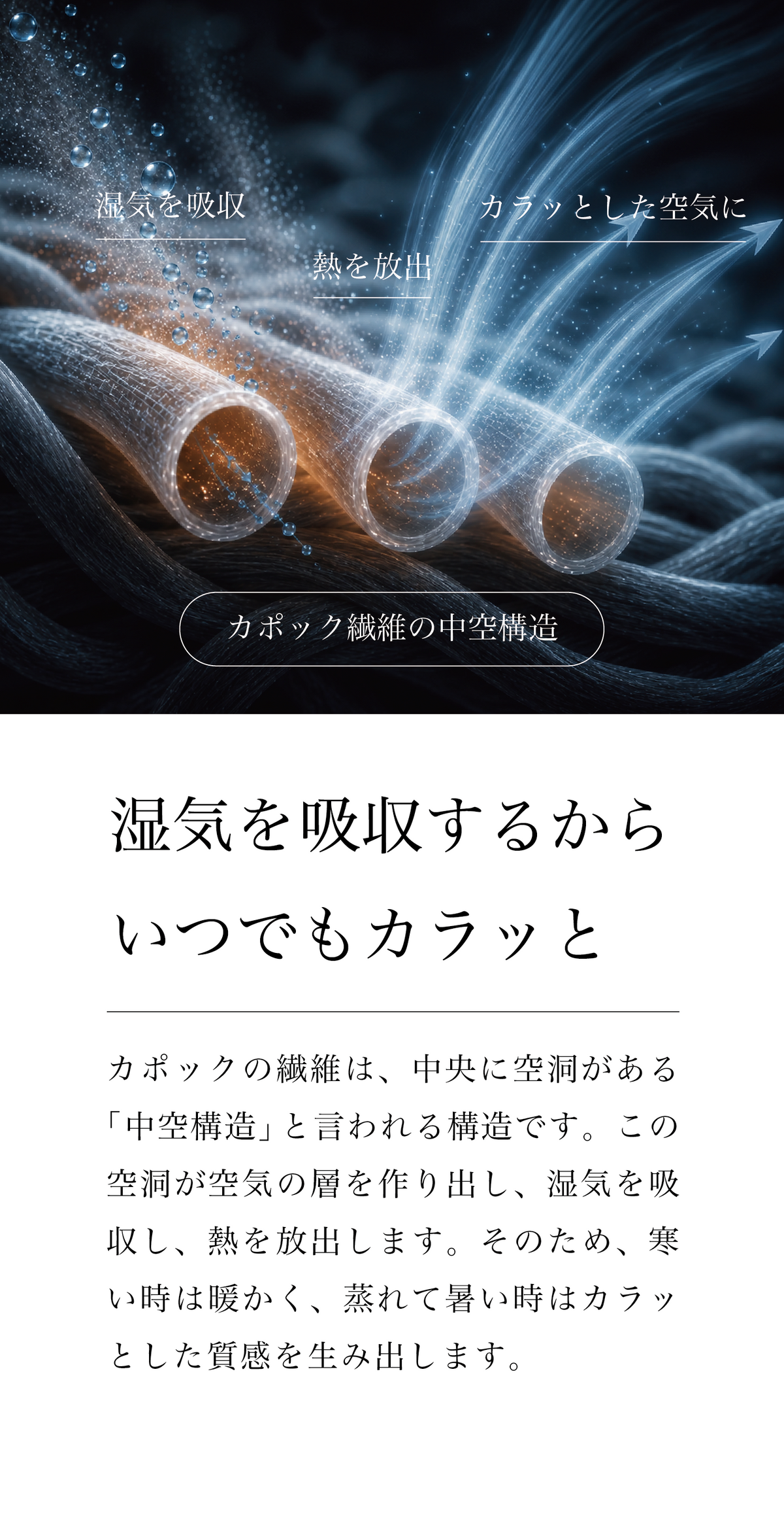 カポック繊維の中空構造